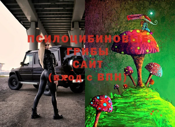 метамфетамин Гусь-Хрустальный