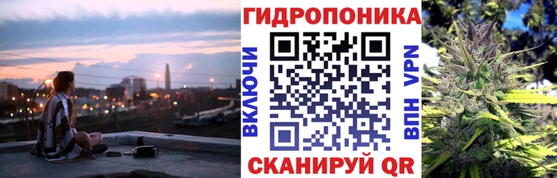 Бошки марихуана сатива  Купить закладки  Иннополис 